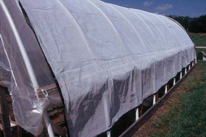 high-tunnel-temp