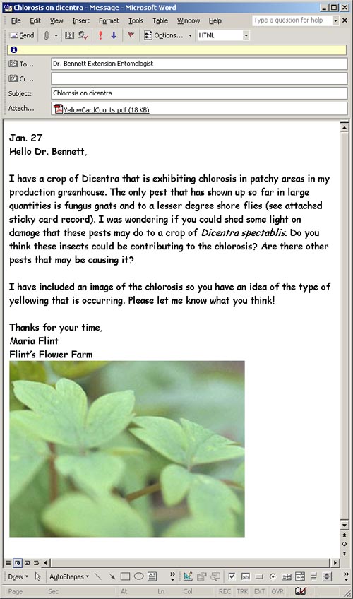 Email-to-Dr