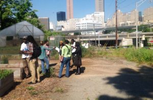 urban farmers constructing high a tunnel