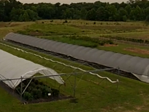 High Tunnel with Shade Cloth